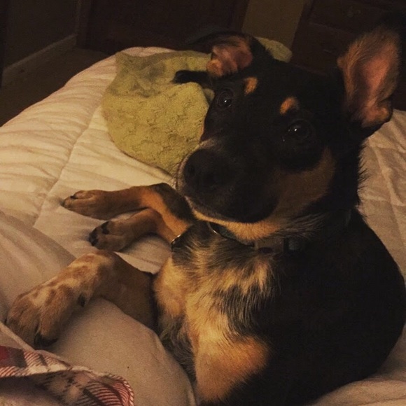 Meet your posher, Shannon! - Picture 3 of 3